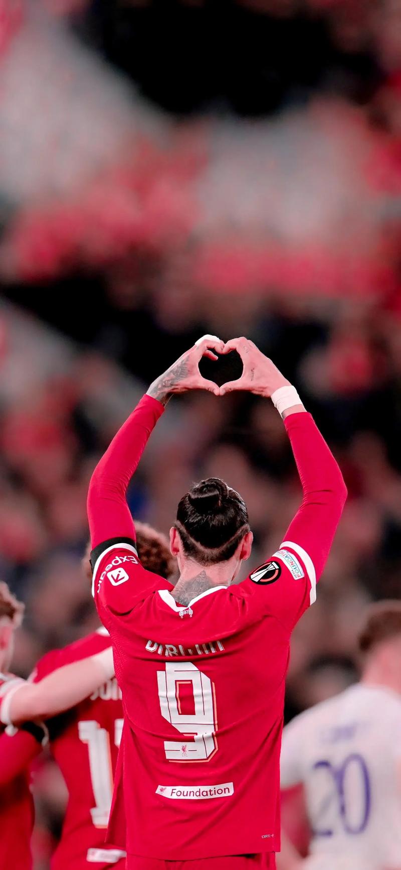 戴维斯的定 戴维斯的定