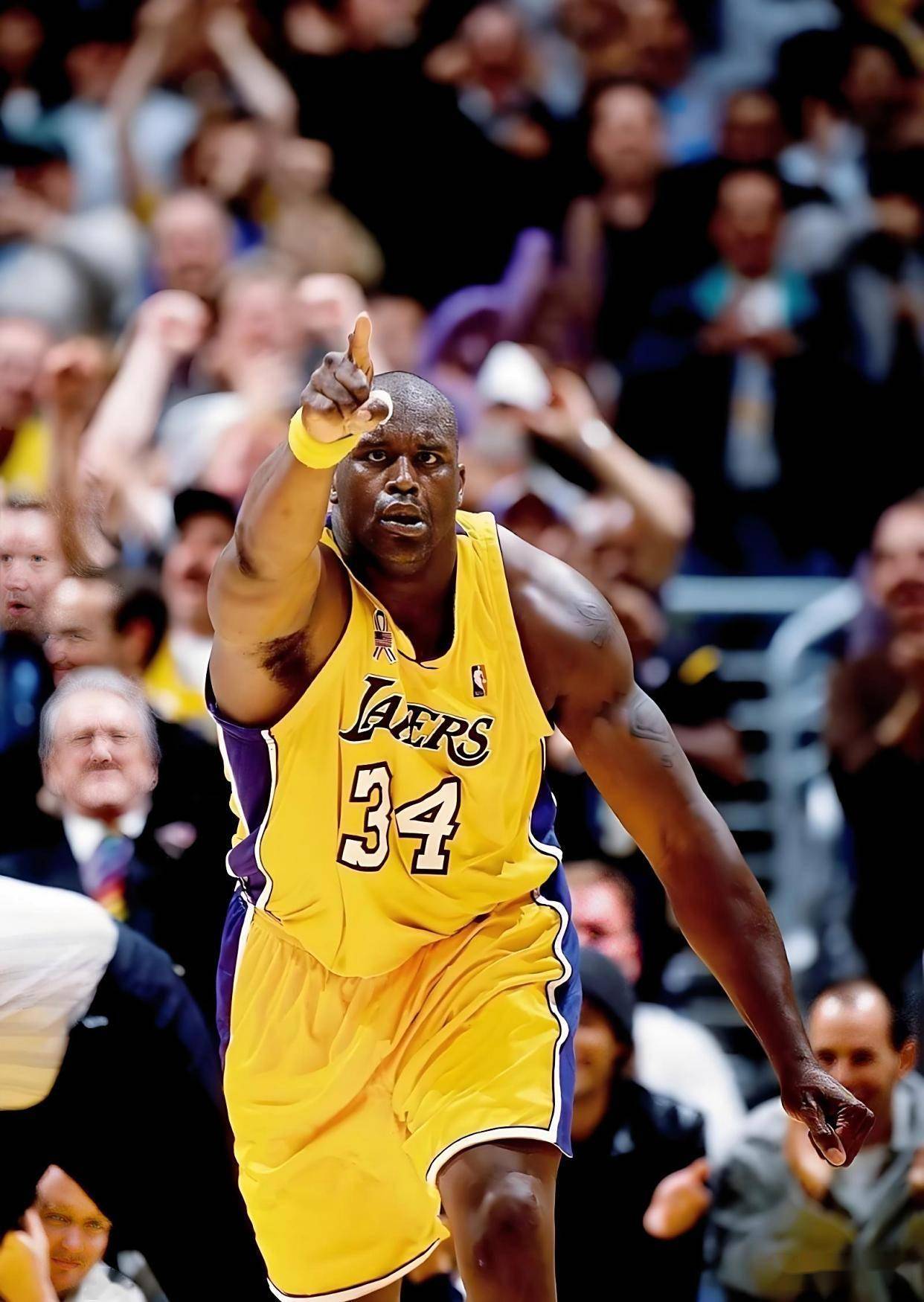 的雷迪克 的雷迪克